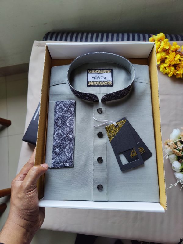 Light Ash Color Contrast Silver Punjabi